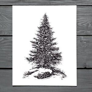 Winter Evergreen Illustration, Original Art Print